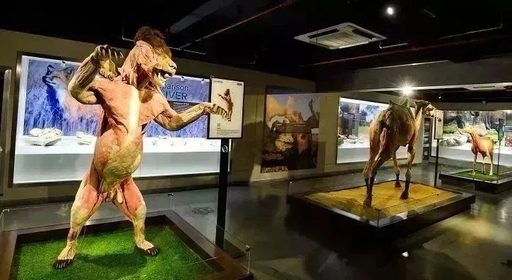 苏州旅游自驾一日游,苏州旅游一日游亲子游