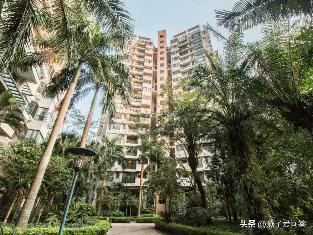 我,18年不听劝,花825万在深圳买了一套房,如今肠子都悔青了