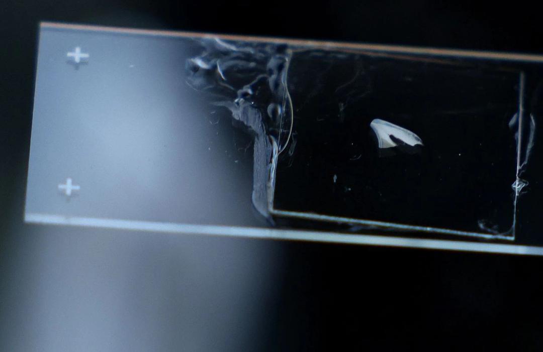 你心底的伤，牙仙子从没有忘