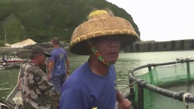 目前野生大黄鱼为什么这么贵,大黄鱼最贵价格多少钱一斤