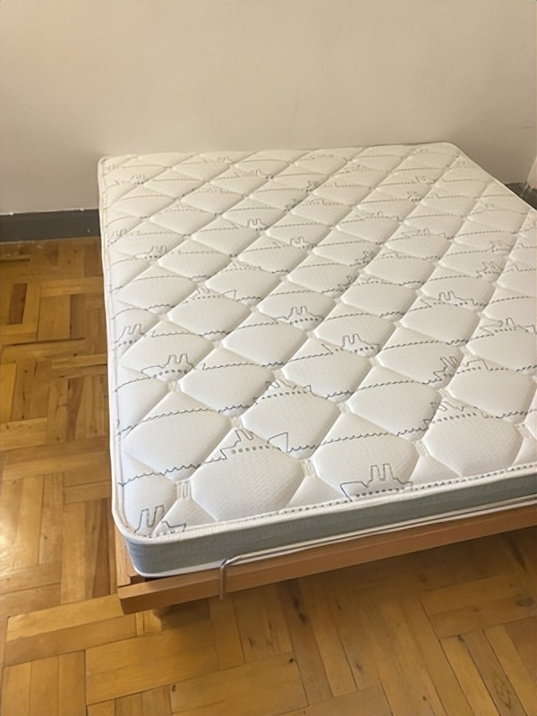 棕榈床垫和乳胶床垫哪种好,15岁适合棕榈垫子还是弹簧垫子