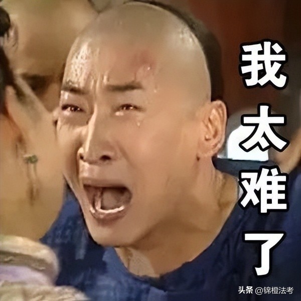 左宁和向高甲刑诉谁讲得好,2024法考刑诉哪个老师好