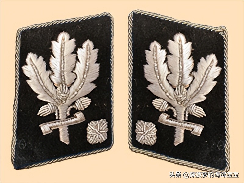 纳粹冲锋队用的什么枪,纳粹德军军衔图解