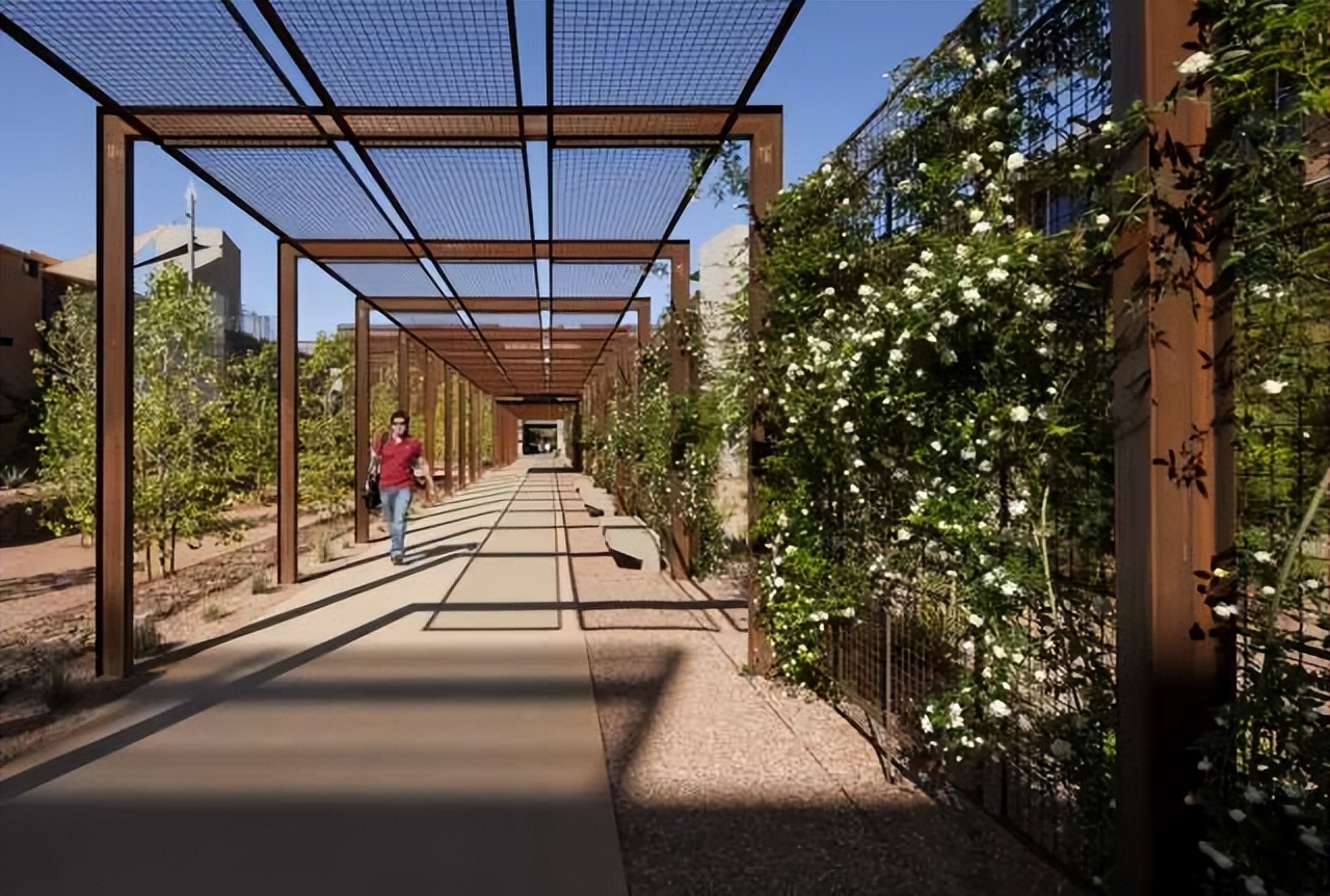 大学校园绿化设计,现代校园绿化规划设计