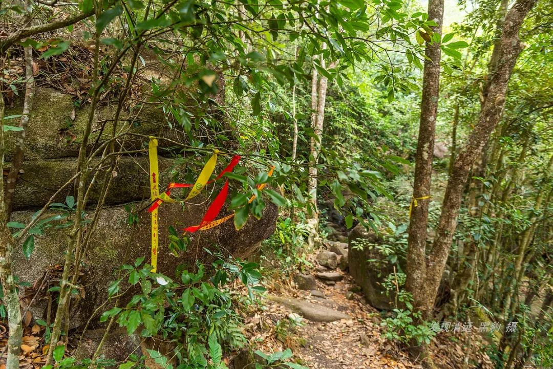 云髻山自然风景区,云髻山的风景