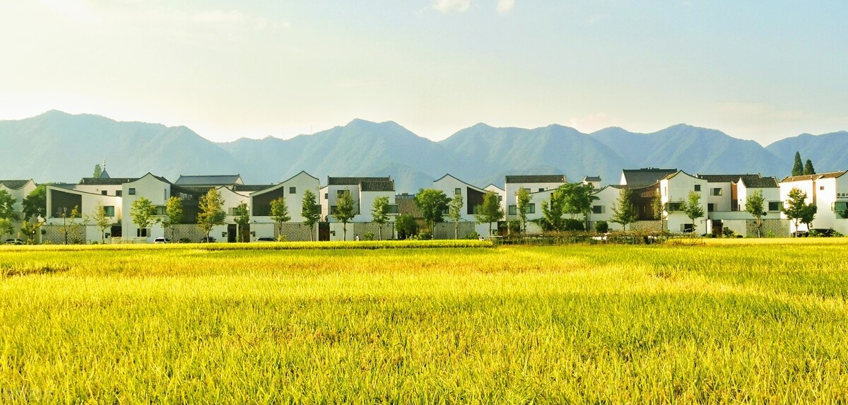 2021-2022期末保密语文试卷五年级,2019-2020五年级上册语文期末试卷