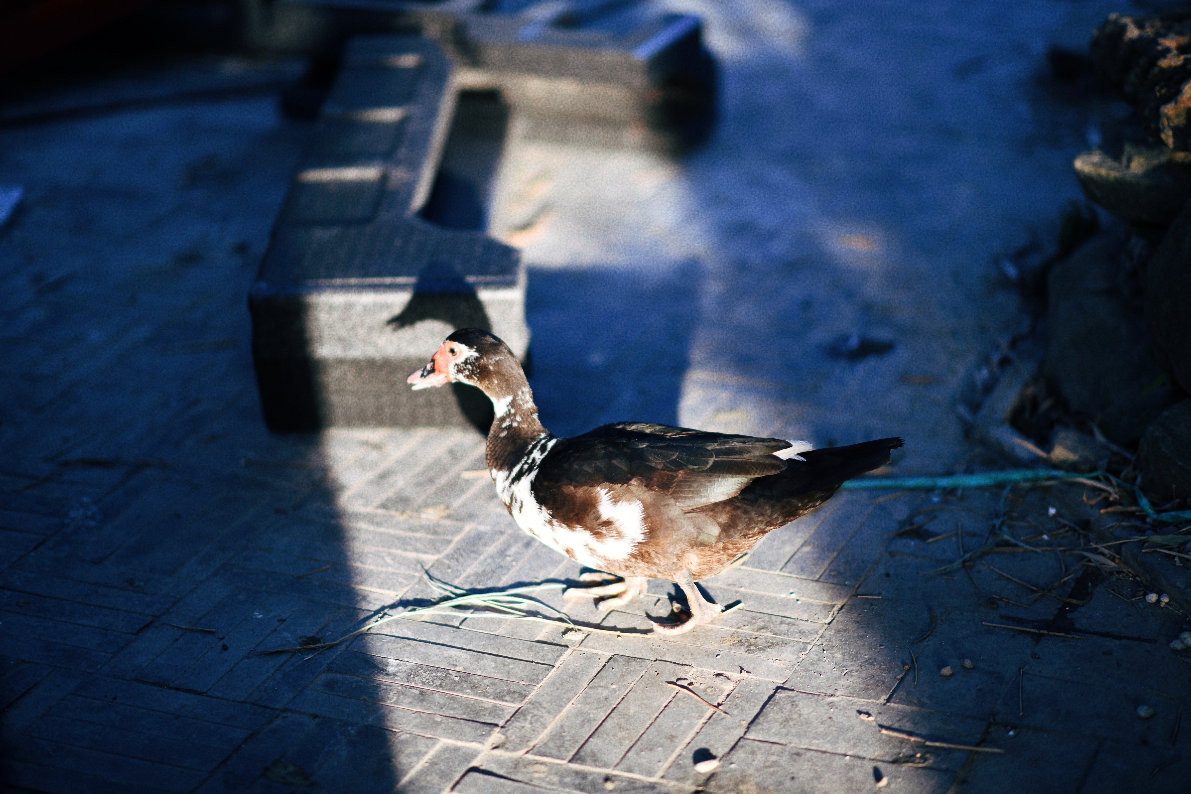 界石见山空谷民宿,巴南界石世外桃源