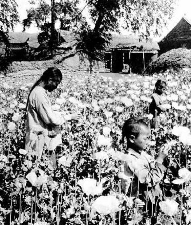 中国禁毒史：数亿同胞丧生，给了中华民族惨痛的教训，必须零容忍