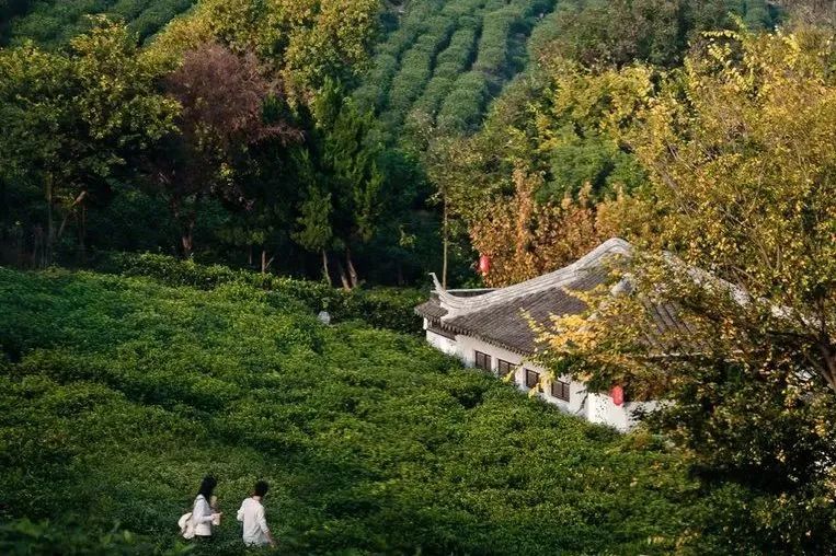 跟着梦华录游汴京,跟着梦华录学英语