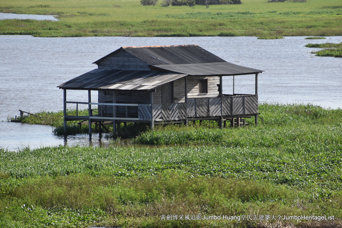 第5047回：消失的亚马逊文明，流失的林下聚居地