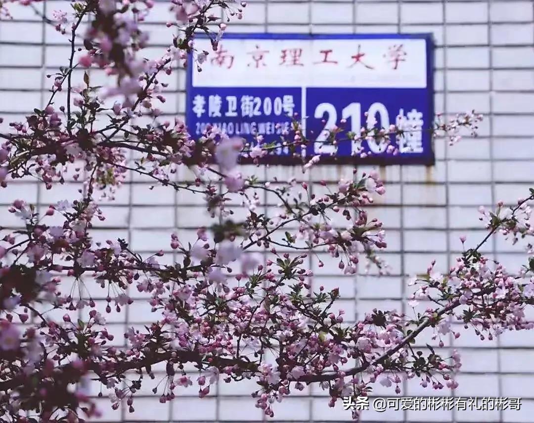 南京理工大学兵器类有什么要求,彬哥南京