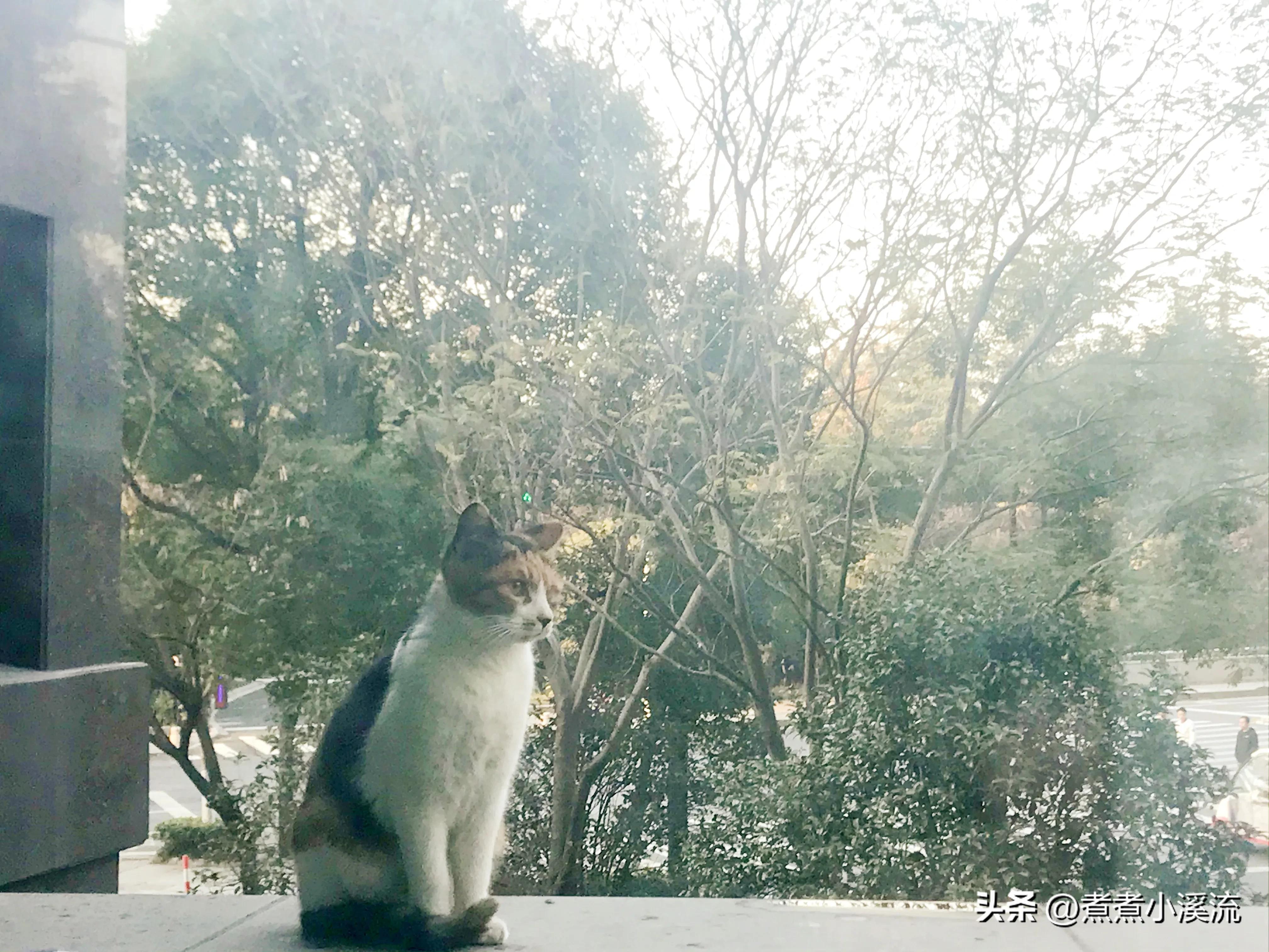 反流性食管炎自我调理,我的反流性食管炎治愈经历