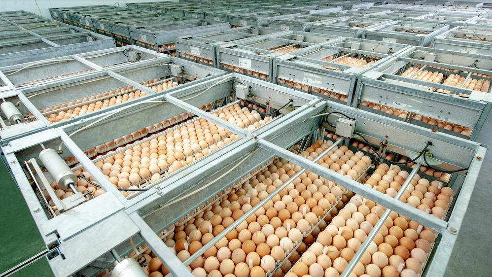 丹麦有500万人口吗,丹麦人口为什么只有500万