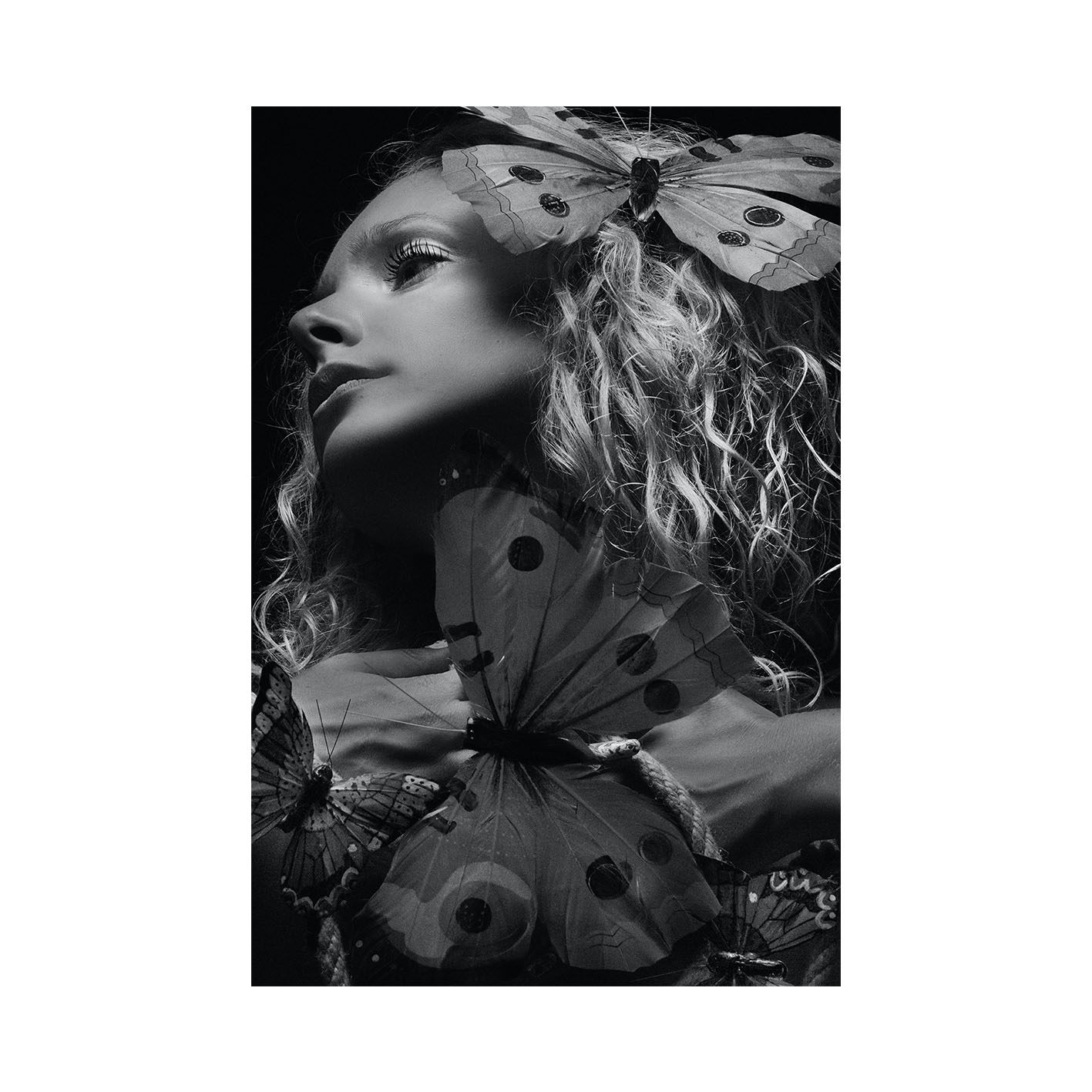 周运狮子座感情运,狮子和天秤运势二月