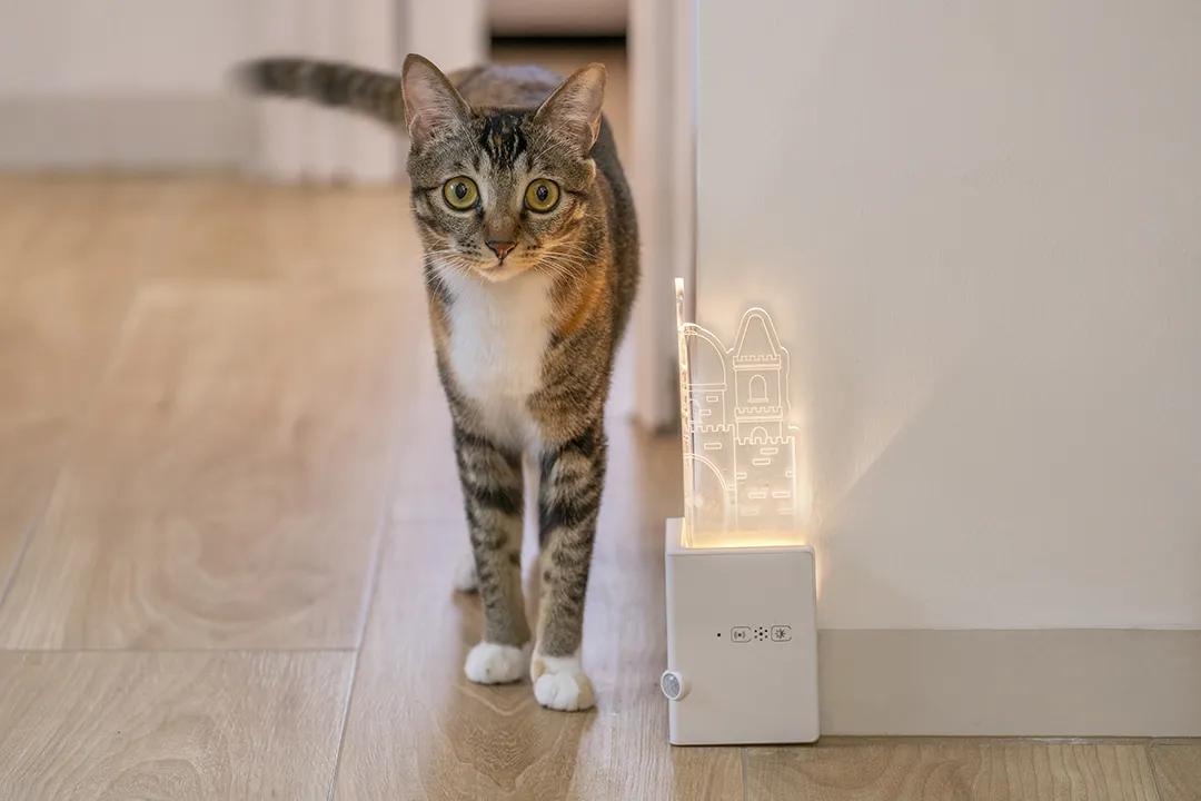 二人三喵|50平深圳“老破小”变身日系小屋