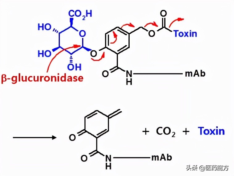 厉害了！这家公司的Licensein玩出了新境界