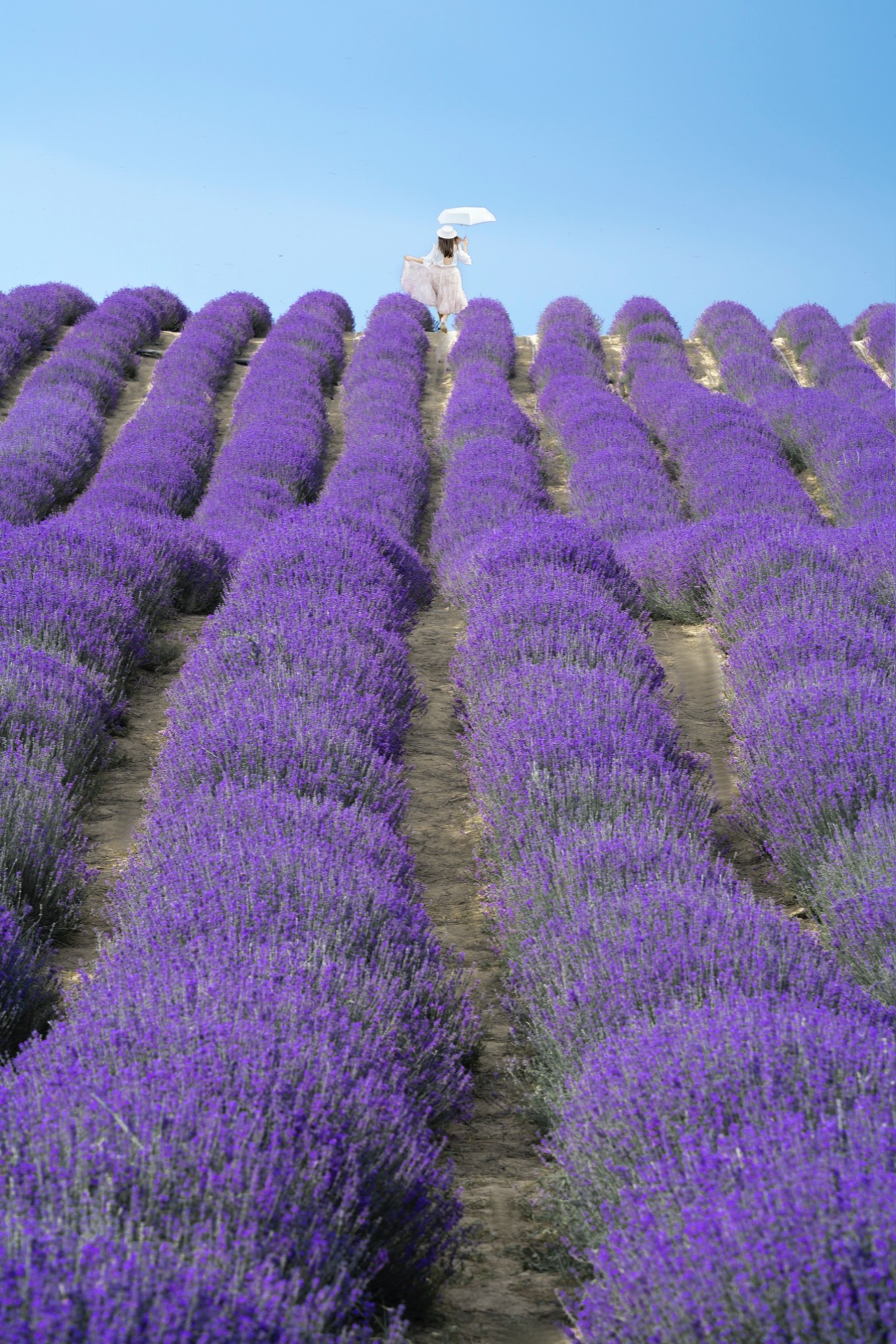 去新疆发现伊犁的美,世界之美尽在伊犁