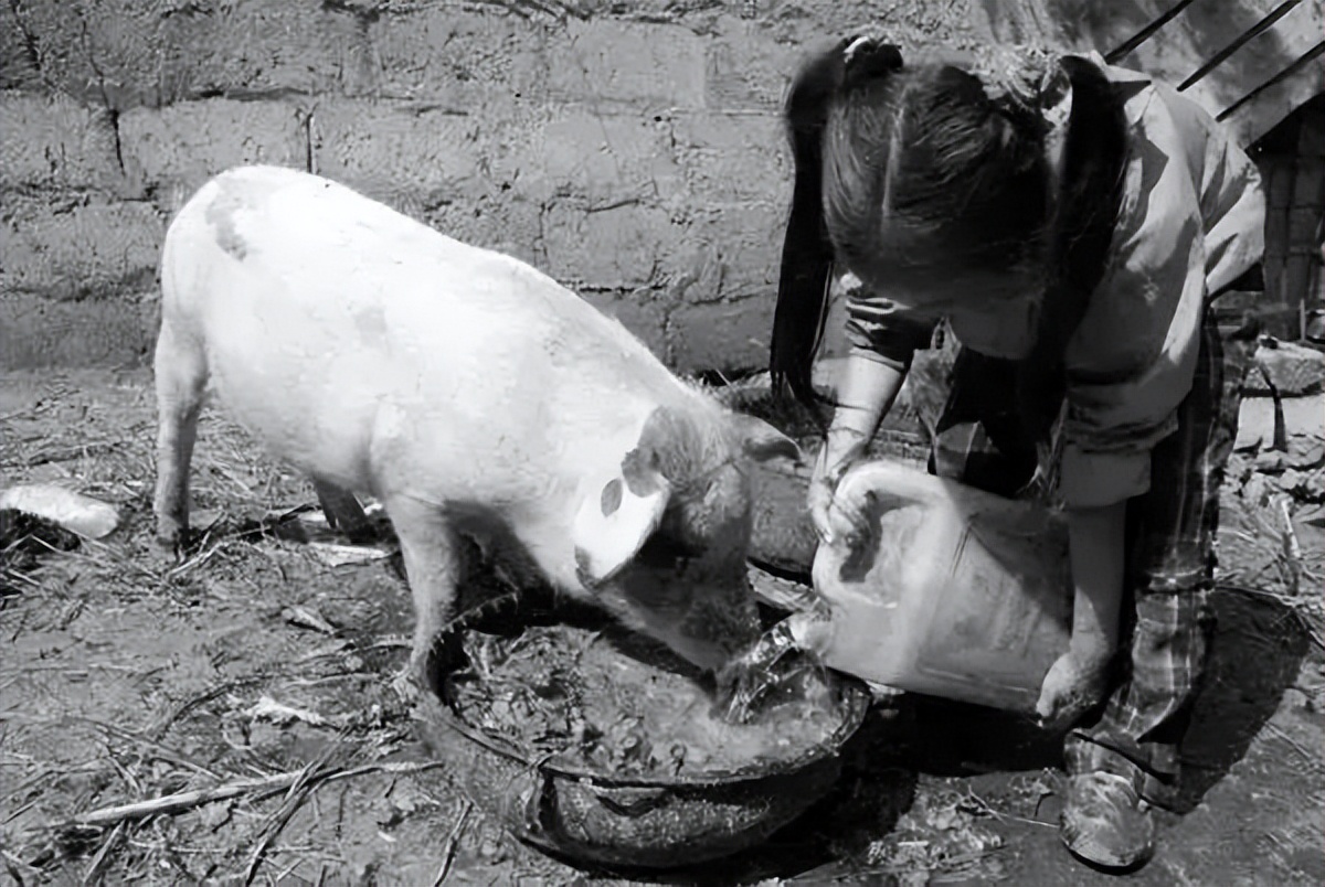 四十年前68张老照片,四十年前老照片大全