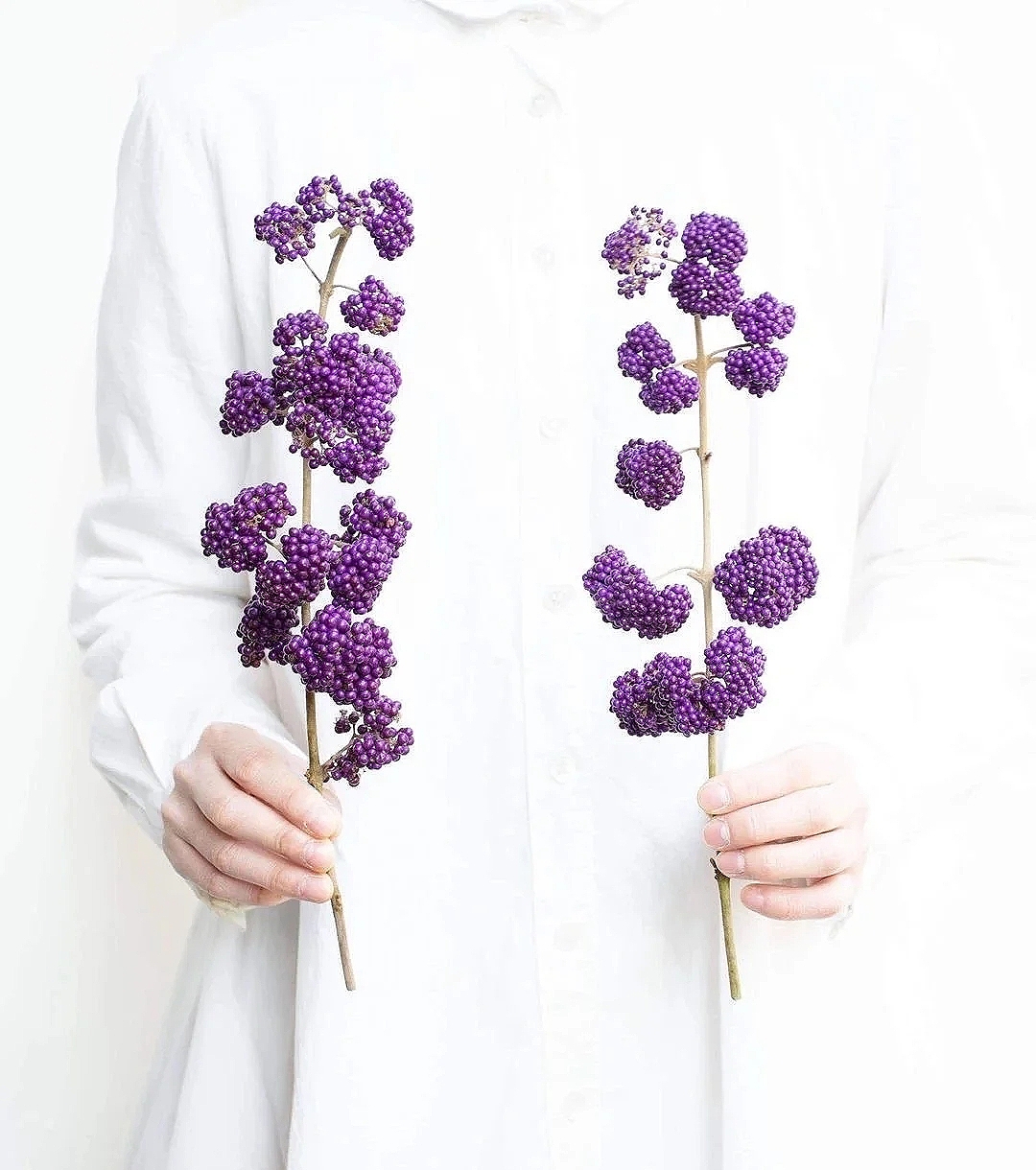 花艺教程花材打理知识,花艺教程常用花材及叶材有哪些