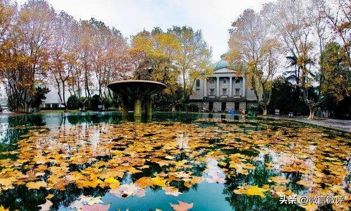 袁久红更多的不雅之事给整出来，让人咋舌