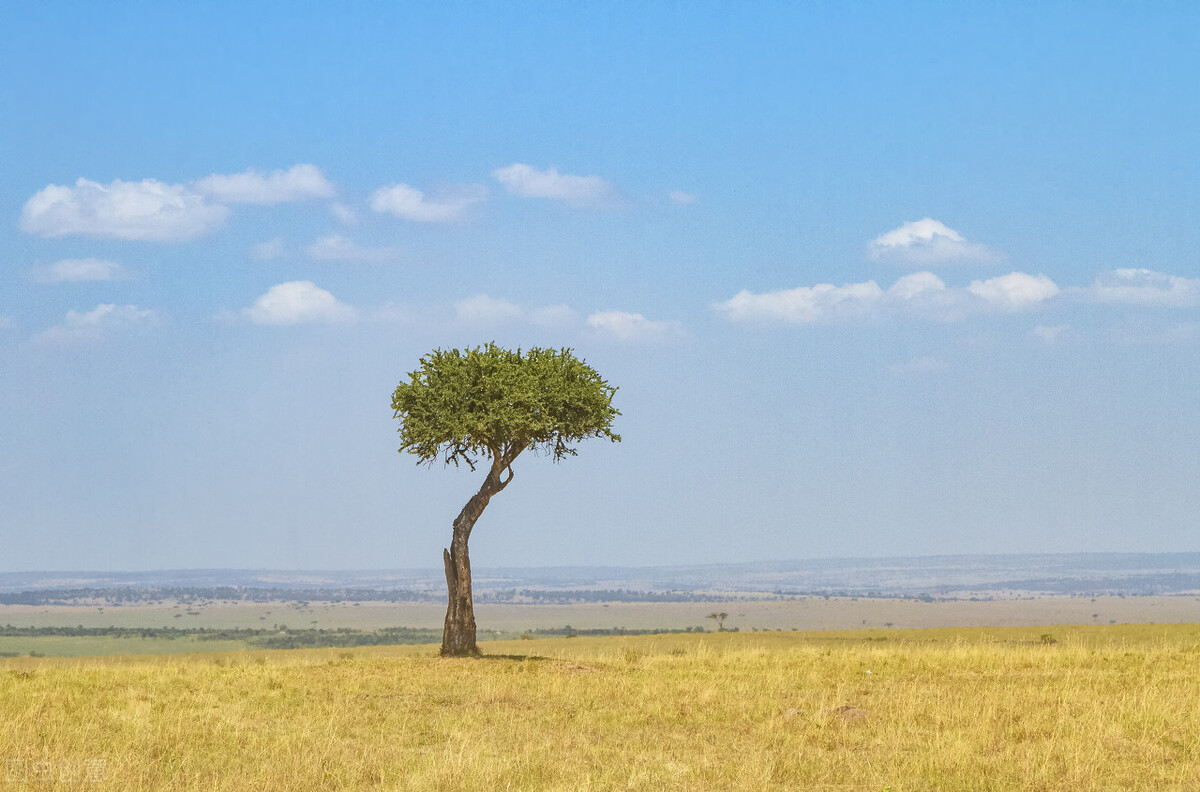 庄子所参透的生命真相,庄子为什么说死和生一样