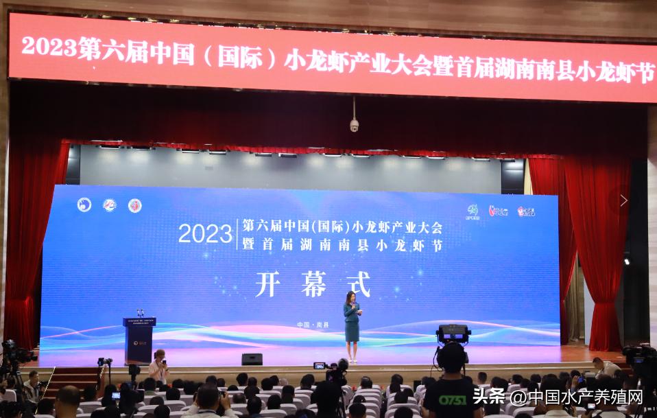 2023年南县小龙虾价格行情,南县小龙虾价格报价
