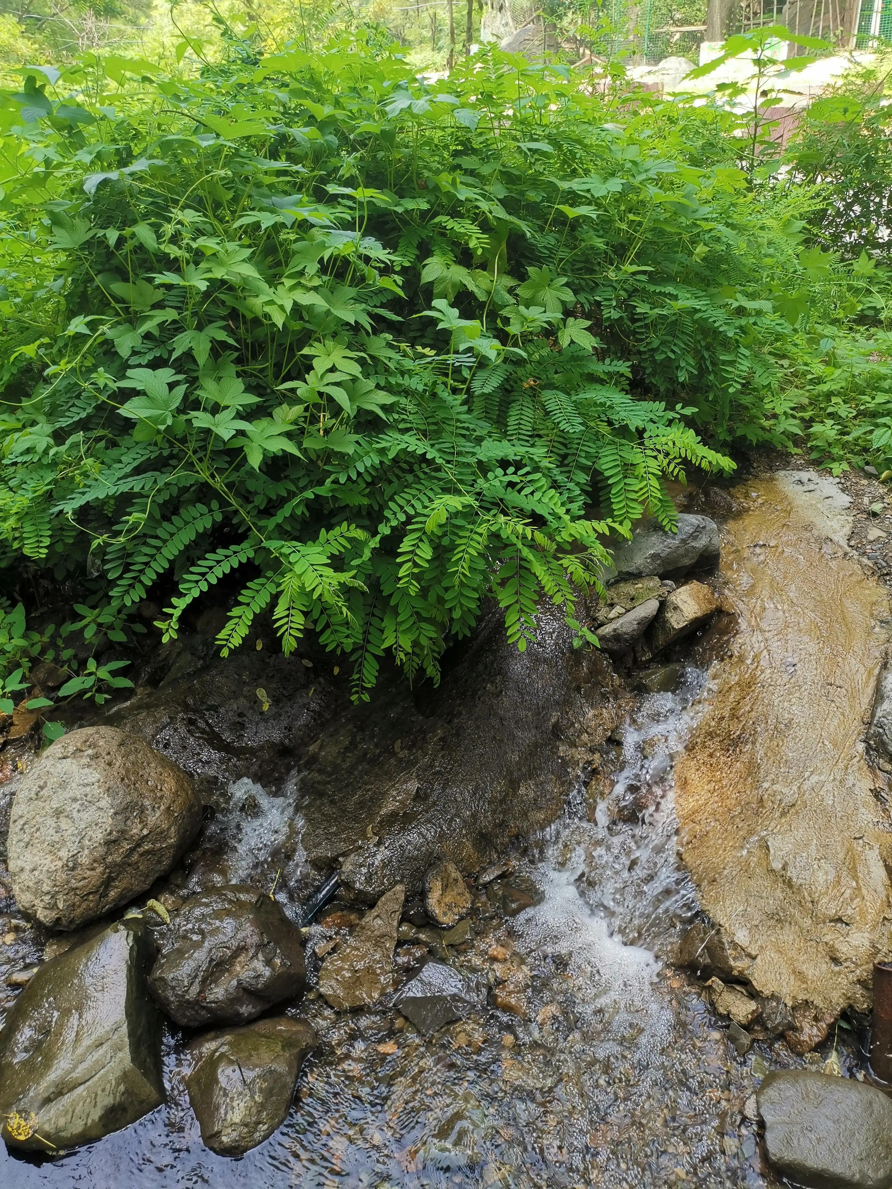 灵溪湾值得购买吗,灵溪好不好