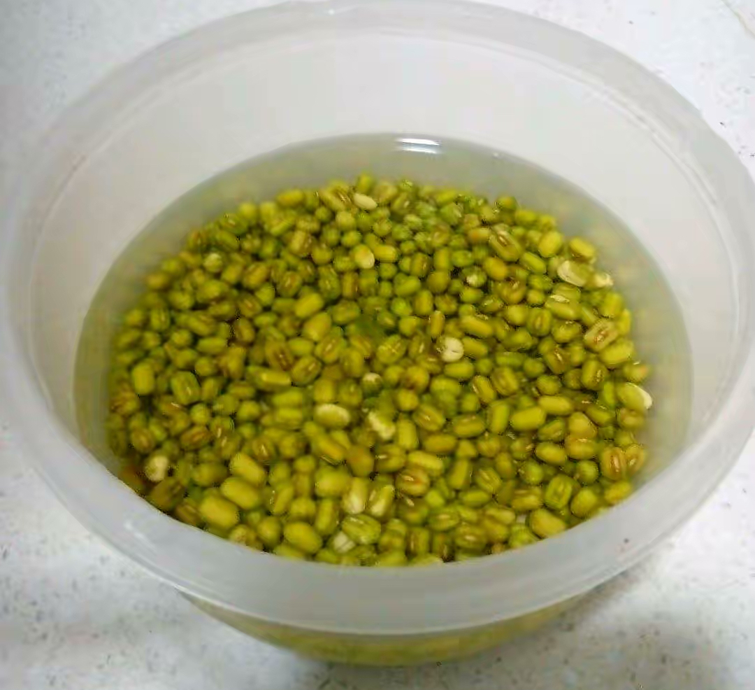 阳台种菜种什么最好活,阳台种菜种哪些长得比较快