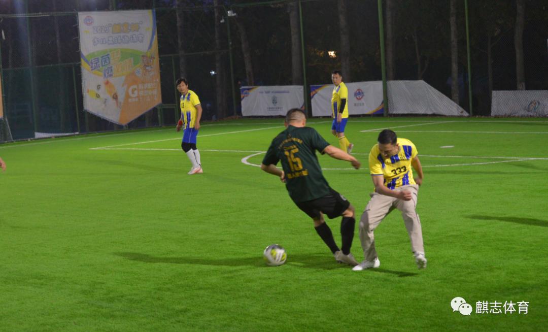 本是同根生结局解析,本是同根生愿结连理枝