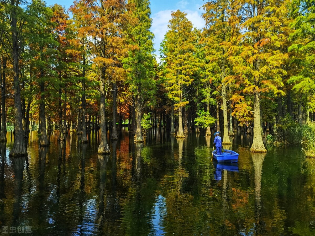 上海国庆值得去玩的地方推荐,上海十一游玩推荐免费