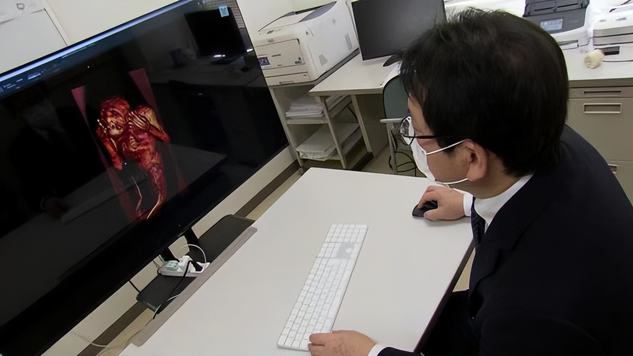 人鱼化石是真的吗,日本专家鉴定的文物