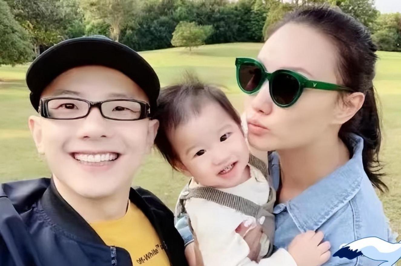 歌手平安2016春晚,歌手平安上过几次央视春晚