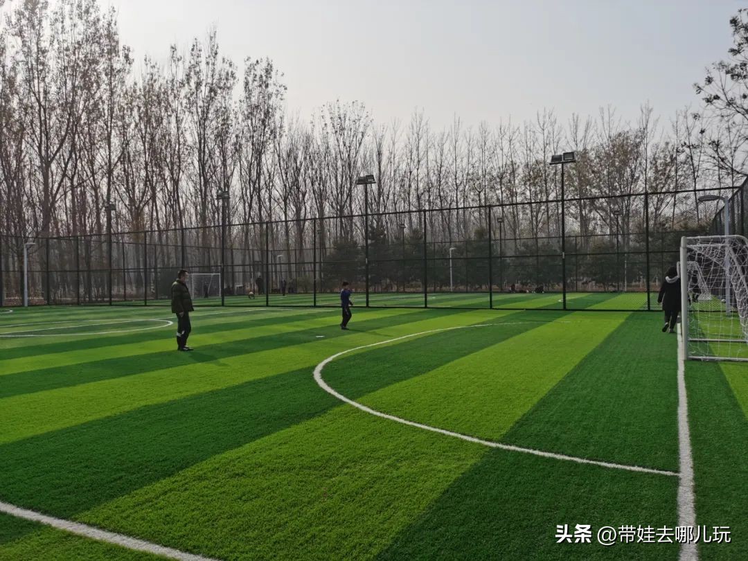 在森林公园里玩耍,中国可以骑行的森林公园