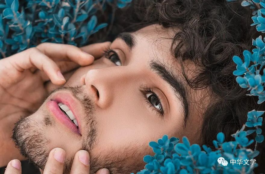 她们追逐在潮湿的花枝上我抖去黑暗直视夜空播种下一次奇迹的诞生