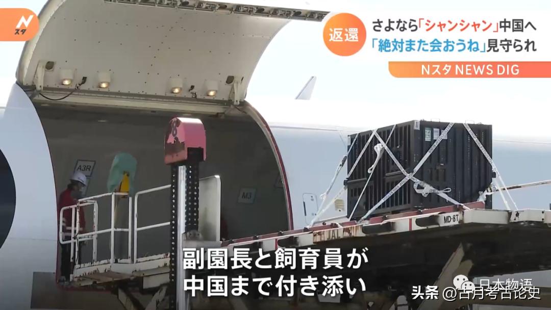 旅日大熊猫回国日本人反应,四只旅日大熊猫陆续归国