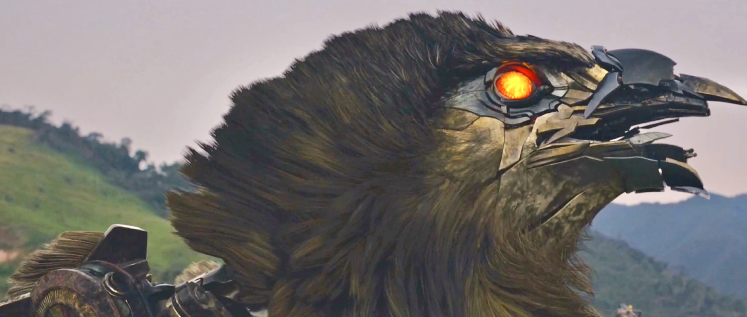 变形金刚七最大细节,盘点变形金刚中所有阵营的肉盾