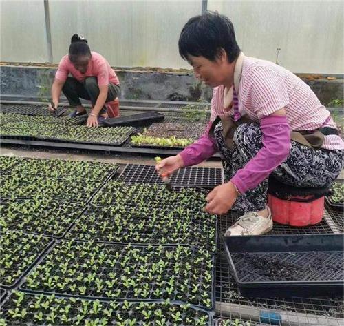 济南南部山区秋季美景,秋色相伴