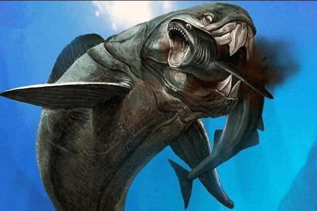 人类的舌头是怎么进化的,为什么人类最强的肌肉是舌头