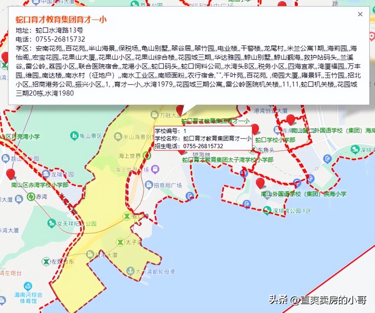 南山区小学学区划分图,南山各小学积分