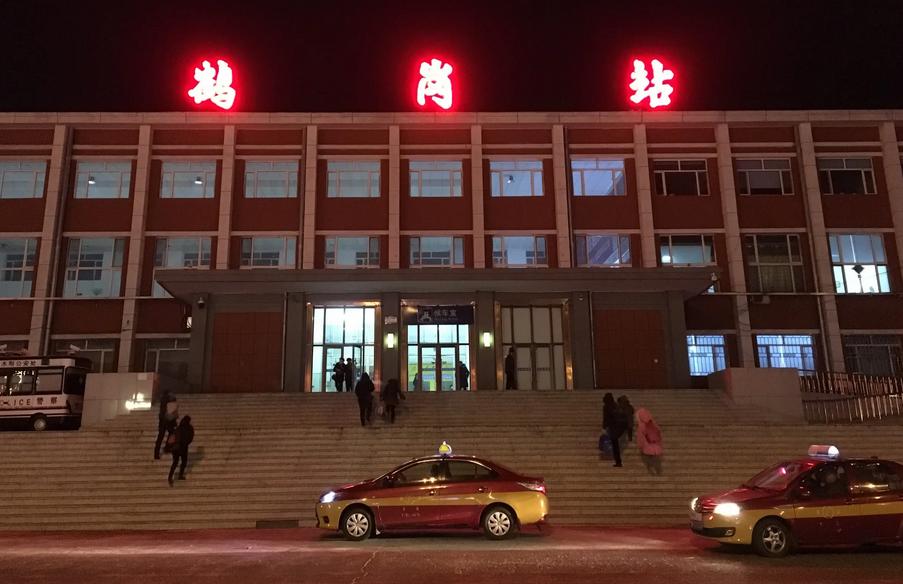 广东90后小伙鹤岗买房,90后女孩花4万买房移居鹤岗现状