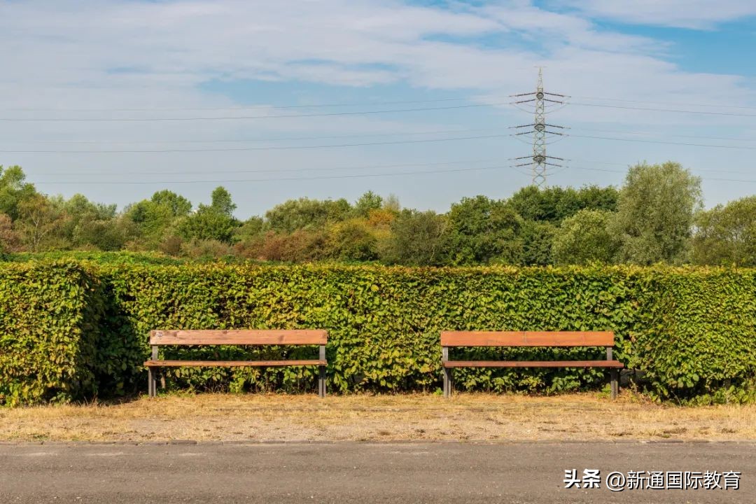 德国主场遭逆转2-4荷兰,德国惨遭淘汰