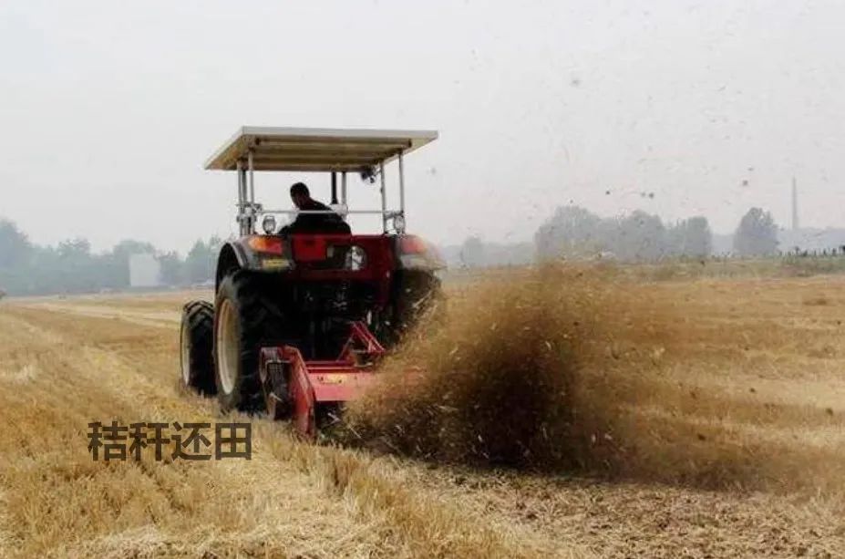 秸秆氨化处理方法,秸秆灰渣最佳处理方法