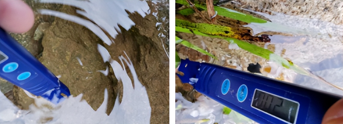 “无癌镇”科考成果丰硕