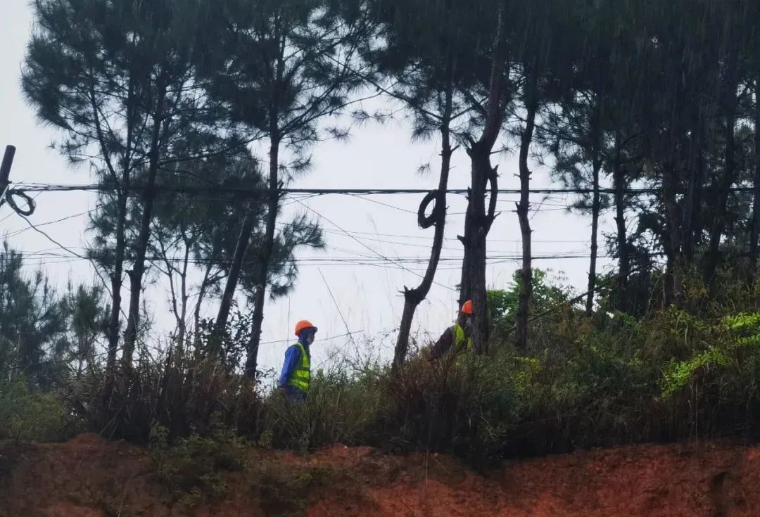 东航客机搜救现场画面,东航坠机搜救现场