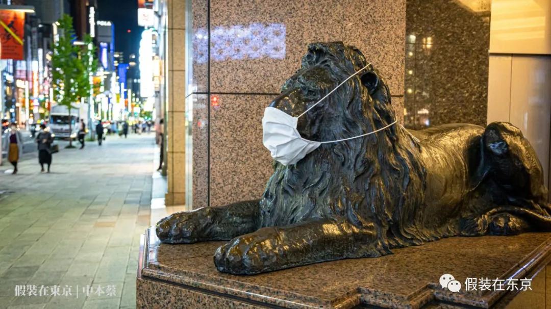 365张照片回顾,365张相片