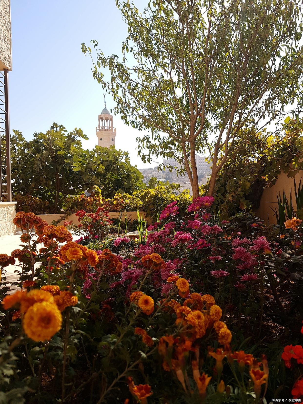 盘点春天必去的花海胜地,花间游风景