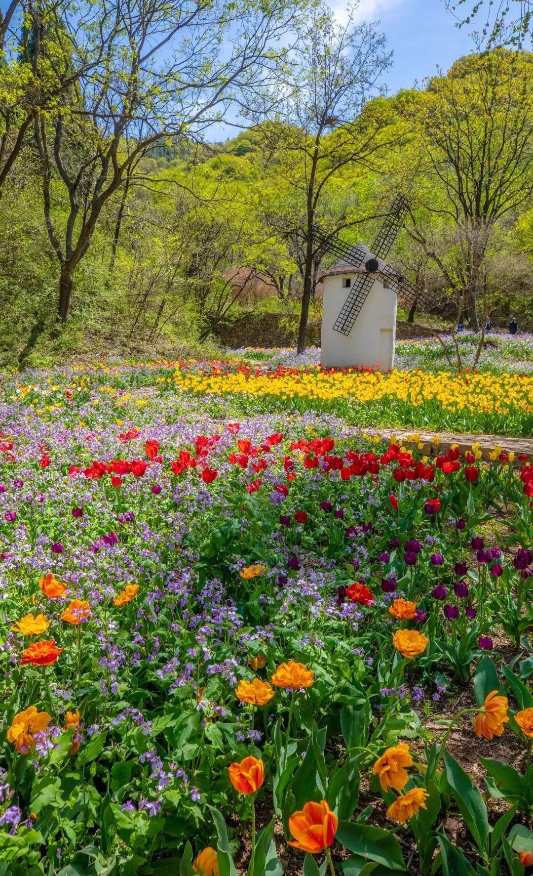 济南出发高铁旅游攻略,济南三天假期去哪玩合适