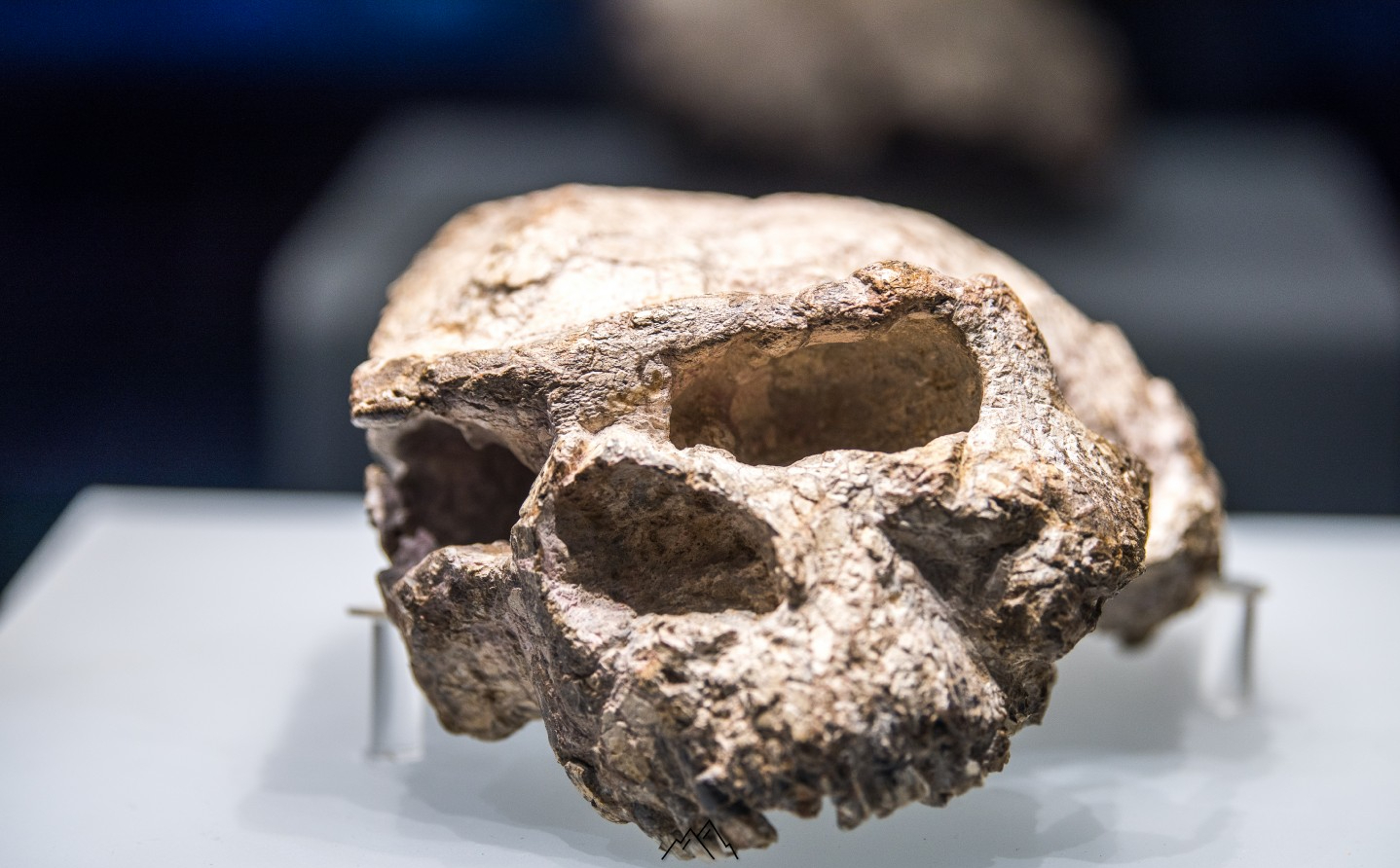 胆小莫入的人有多可怕,胆小勿进眼见不一定为实