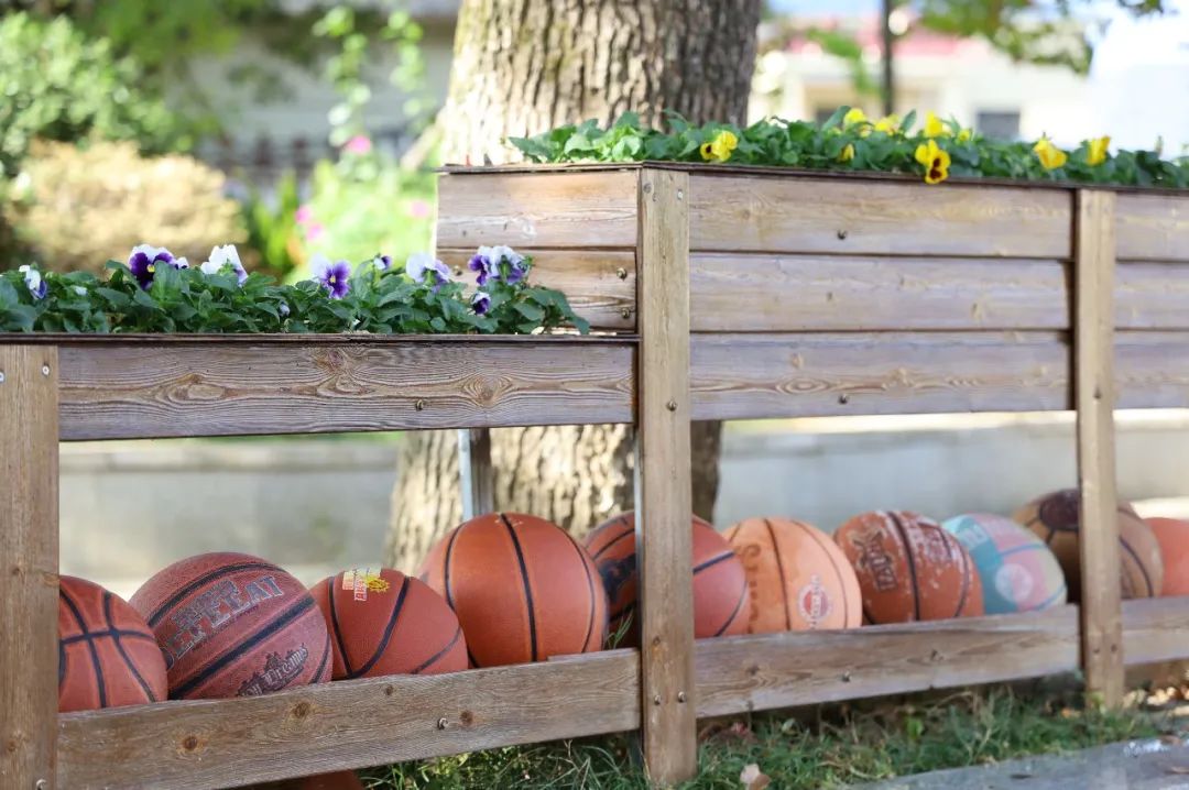 春晖小学,春晖小学教育集团