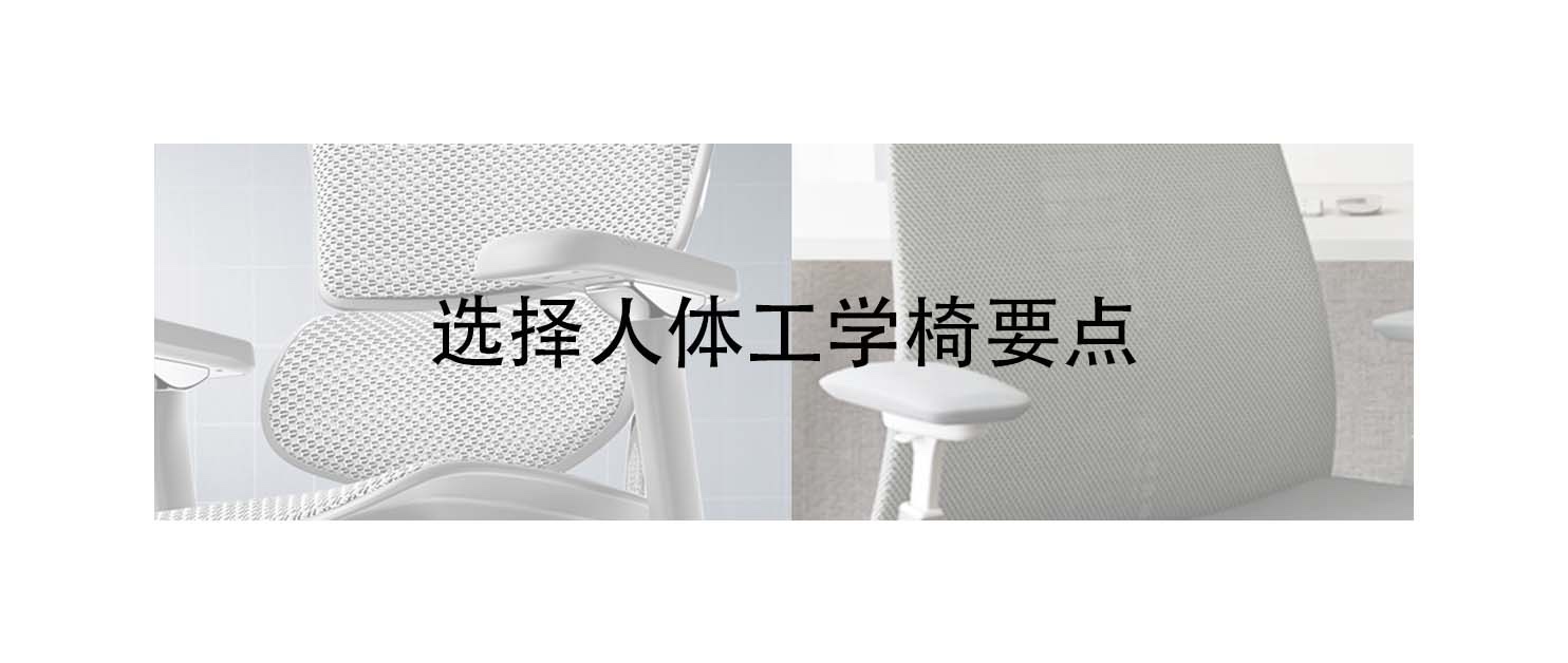 高端人体工学椅推荐排行榜,人体工学椅高端与入门区别